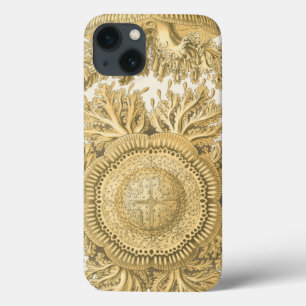 Goldene Seegeschöpfe Case-Mate iPhone Hülle