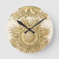 Goldene Seegeschöpfe