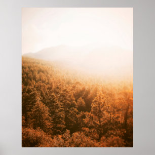 GOLDENE SONNE ÜBER EINEM WALD POSTER