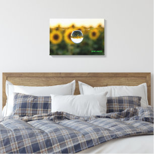 Goldene Sonnenblume, gespiegelt in einem Morgentau Leinwanddruck