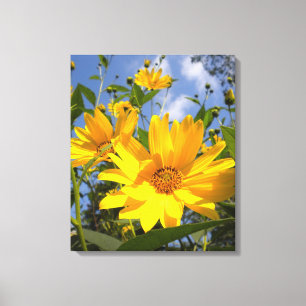 Goldene Sonnenblumen ummantelte Canvas Leinwanddruck