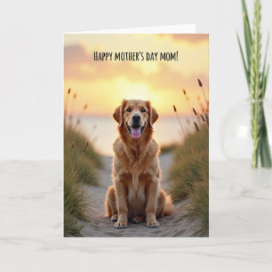 Goldene Sonnenuntergangs-Hundekarte Karte