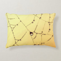 Goldene Spinnennetze