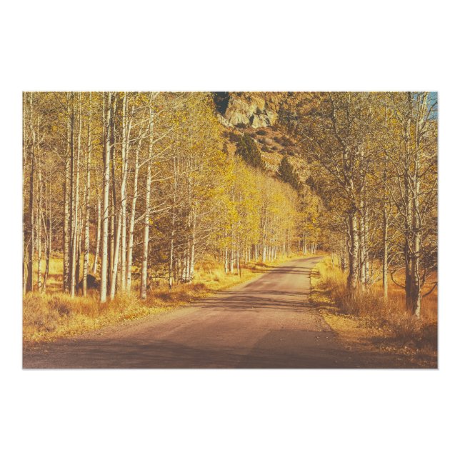 Goldene Straße Poster (Vorderseite)