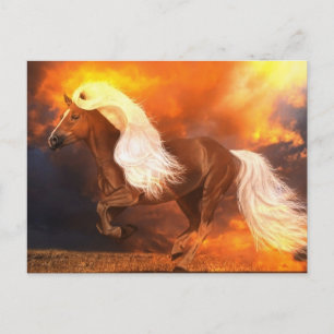 Goldene Stunde Postkarte