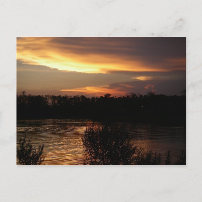 Goldene Sunset Postkarte (Vorderseite)