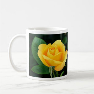 Goldene Tasse der Rosen-23