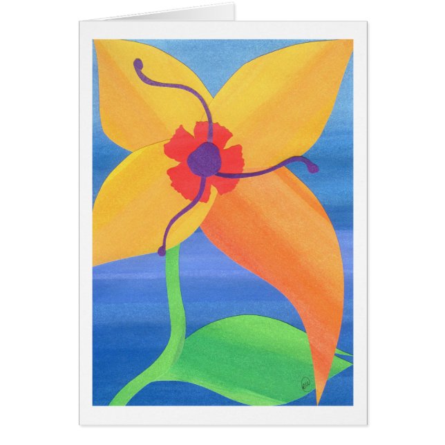 Goldene Tiger-Lilie (Vorne)