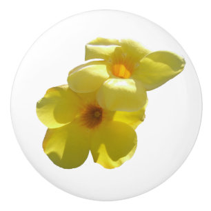 Goldene Trumpet-Blume I Keramikknauf