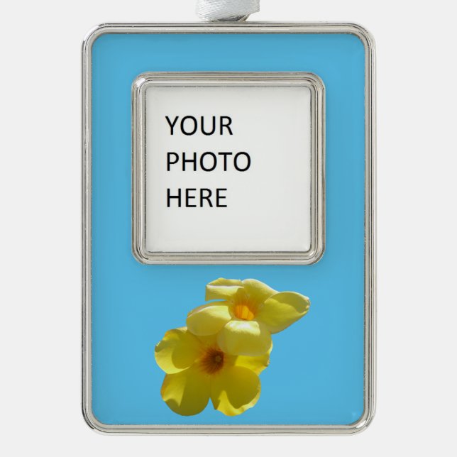 Goldene Trumpet-Blume I Rahmen-Ornament Silber (Vorderseite)