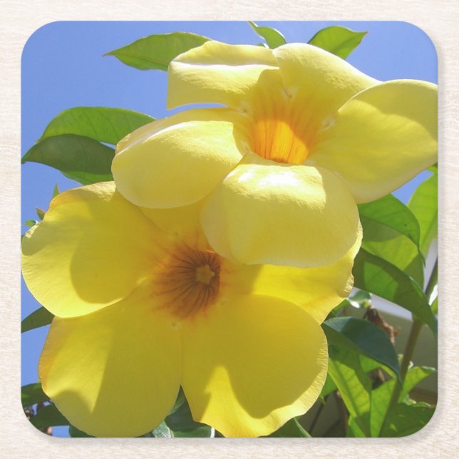 Goldene Trumpet-Blume I Rechteckiger Pappuntersetzer (Vorderseite)