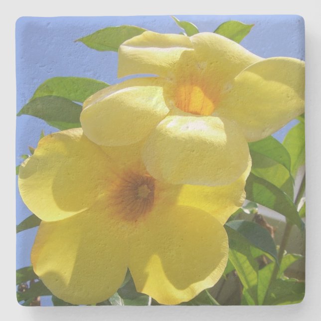 Goldene Trumpet-Blume I Steinuntersetzer (Vorderseite)