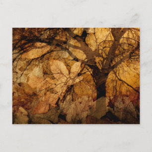 Goldene und braune Blätter Merritt Island, FL Postkarte