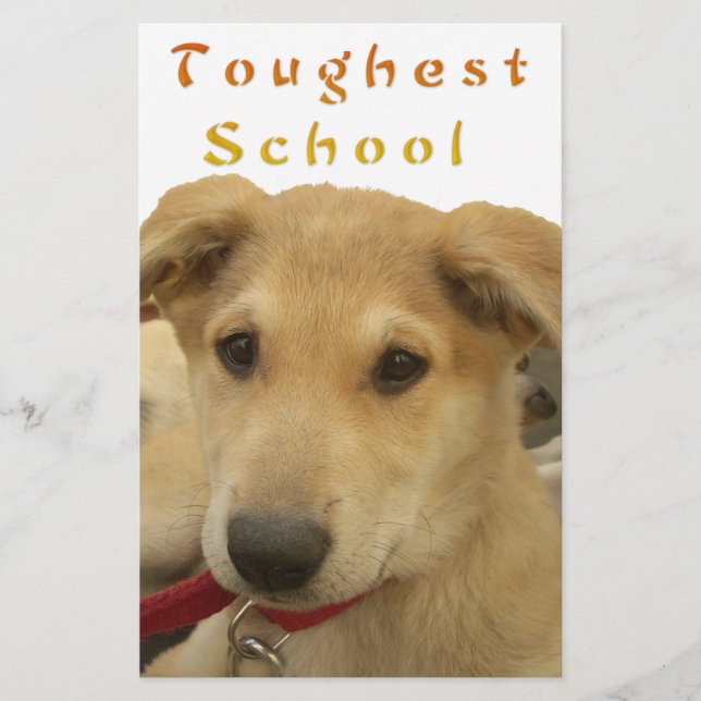 Goldene Weisheit: Ein Hund-Augen-Blick auf die Sch (Vorderseite)