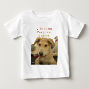 Goldene Weisheit: Ein Hund-Augen-Blick auf die Sch Baby T-shirt
