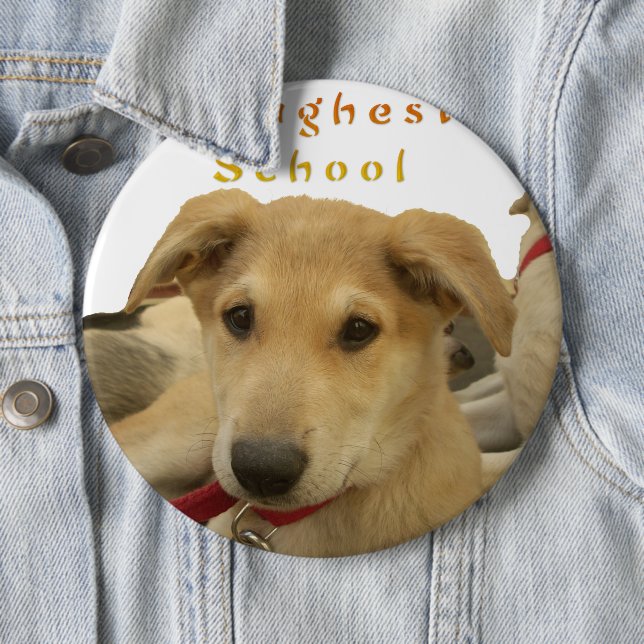 Goldene Weisheit: Ein Hund-Augen-Blick auf die Sch Button (Beispiel)