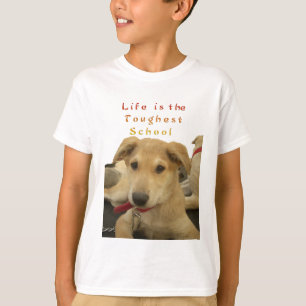 Goldene Weisheit: Ein Hund-Augen-Blick auf die Sch T-Shirt