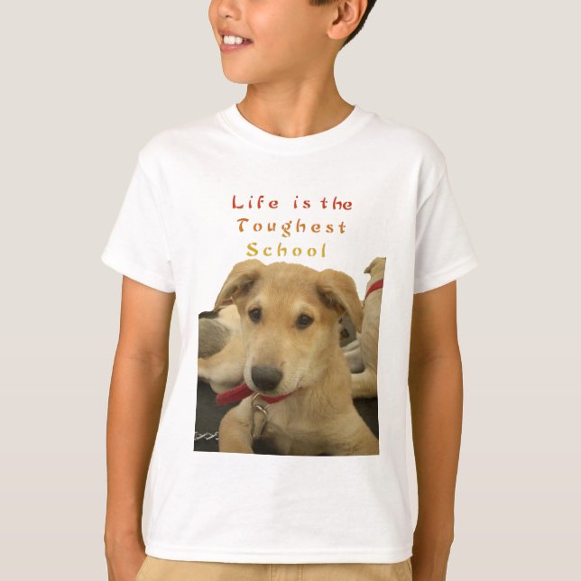 Goldene Weisheit: Ein Hund-Augen-Blick auf die Sch T-Shirt (Vorderseite)