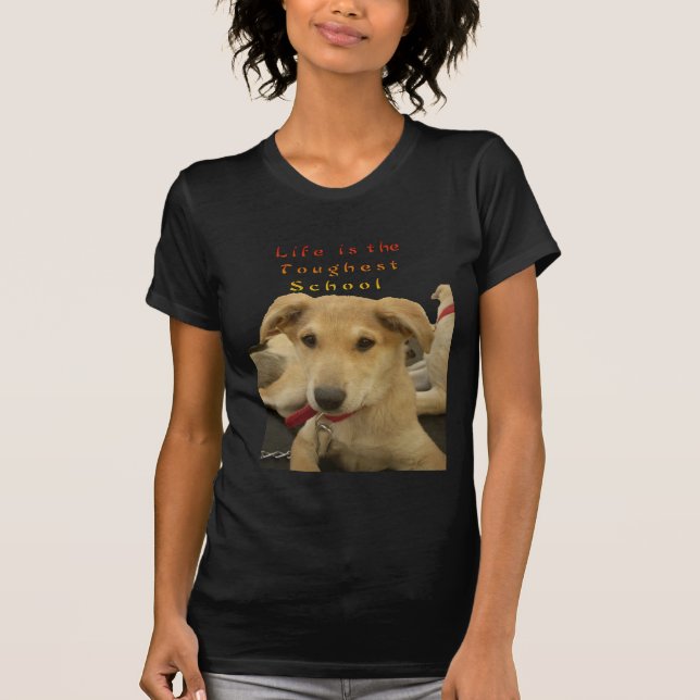 Goldene Weisheit: Ein Hund-Augen-Blick auf die Sch T-Shirt (Vorderseite)