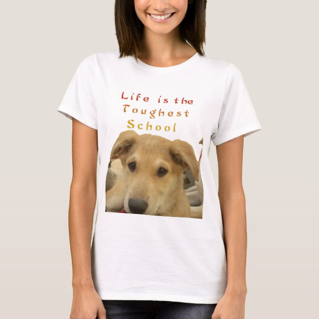 Goldene Weisheit: Ein Hund-Augen-Blick auf die Sch T-Shirt (Vorderseite)