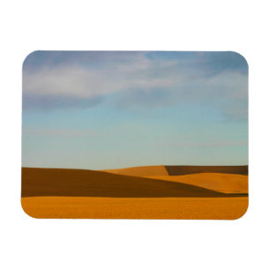 Goldene Weizen-Felder in Palouse Region Magnet