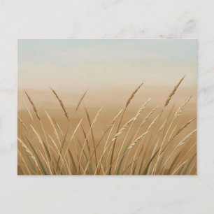 Goldene Weizen-Gras-Landschaft in Serenität Postkarte