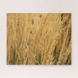 Goldene Weizenfelder - 16x20 - 520 Stk. Puzzle