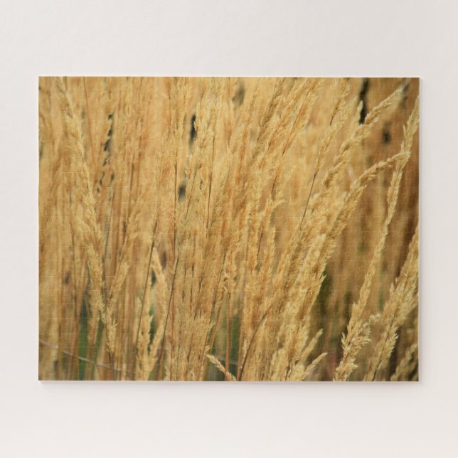 Goldene Weizenfelder - 16x20 - 520 Stk. Puzzle (Horizontal)