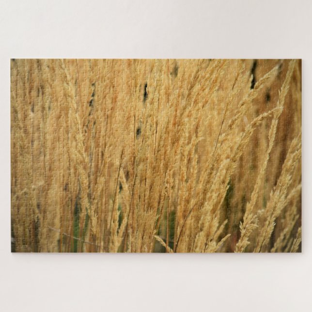 Goldene Weizenfelder - 20x30 - 1014 Stk. Puzzle (Horizontal)