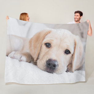 goldene Welpe Labrador-Decke Fleecedecke
