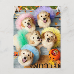 Goldene Welpen beim Trick-or-Treat Einladungspostkarte