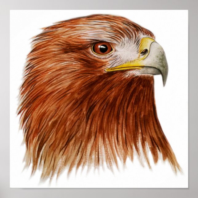 Goldener Adler 2011 Poster (Vorne)