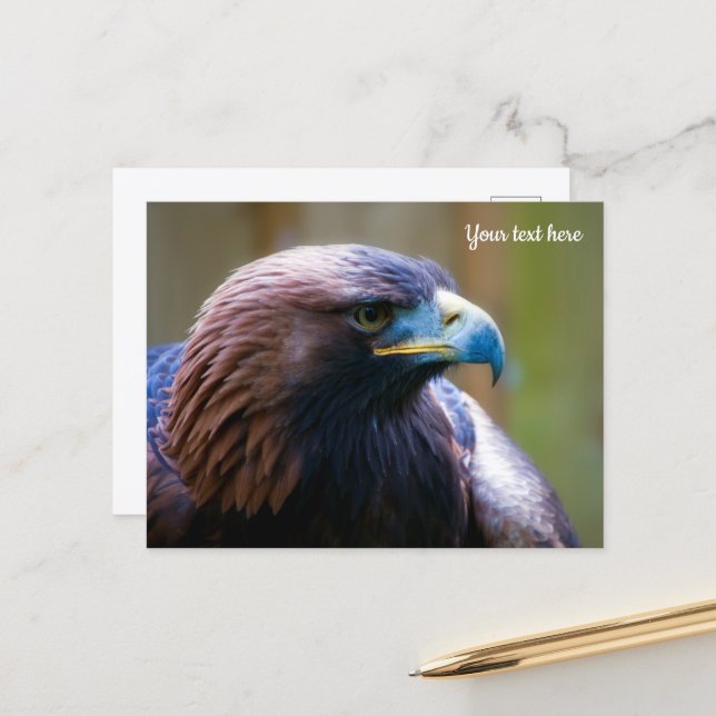 Goldener Adler Postkarte (Vorderseite/Rückseite Beispiel)
