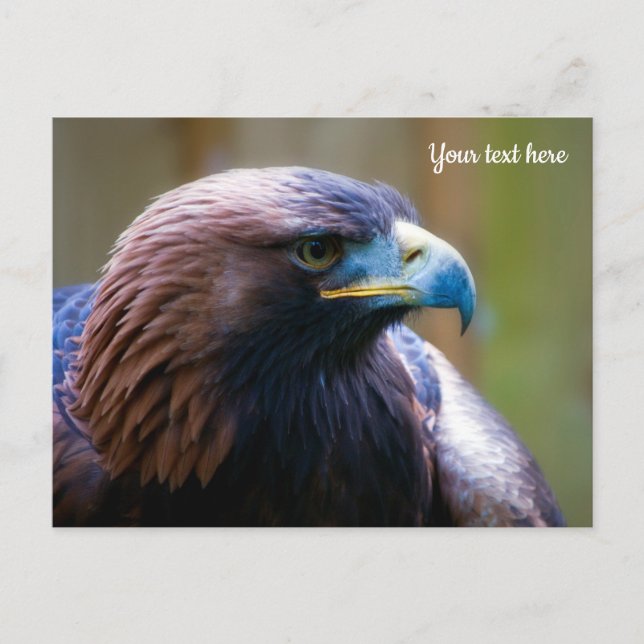 Goldener Adler Postkarte (Vorderseite)