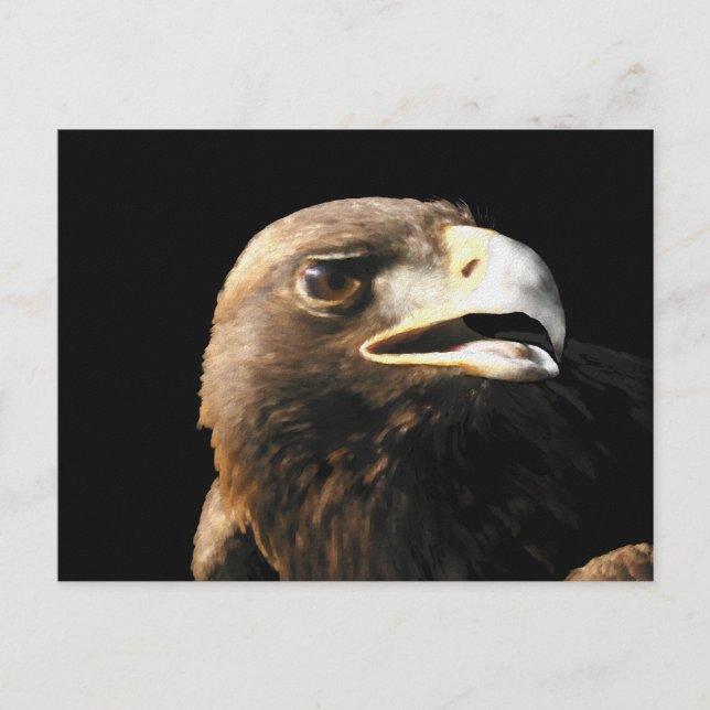 Goldener Adler Postkarte (Vorderseite)