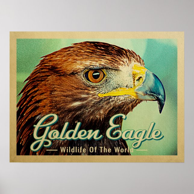 Goldener Adler - Wildnis des Weltvogels Poster (Vorne)