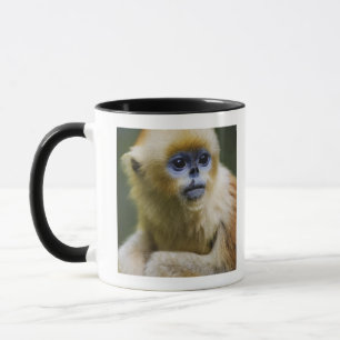 Goldener Affe Tasse