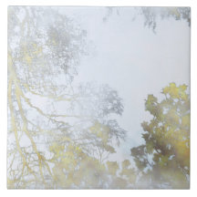Goldener Breitblatt-Schimmer