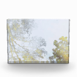 Goldener Breitblatt-Schimmer Fotoblock