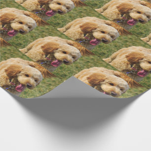 Goldener Doodle Geschenkpapier