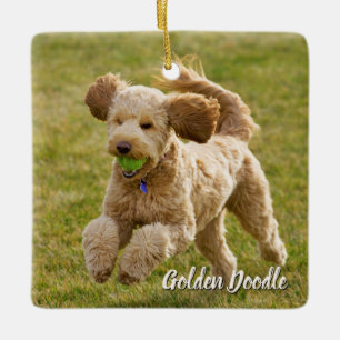 Goldener Doodle Keramikornament