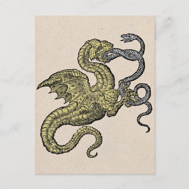 Goldener Drache und Silberschlange Postkarte (Vorderseite)