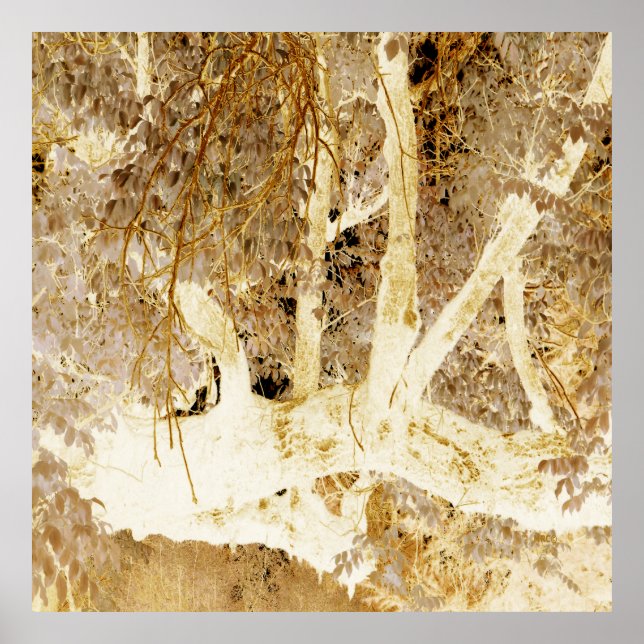 Goldener Fall.... Poster (Vorne)