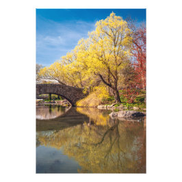 Goldener Frühling Fotodruck