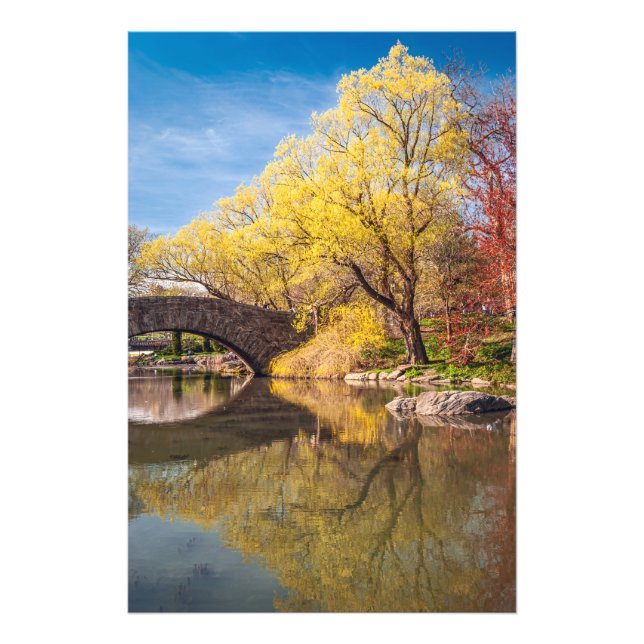 Goldener Frühling  Fotodruck (Vorne)