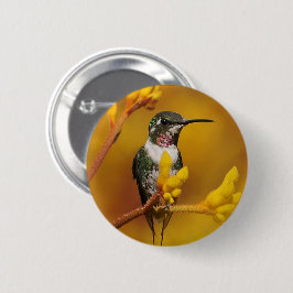 Goldener Glanz Button