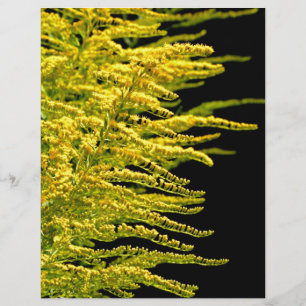 Goldener Golddiamant