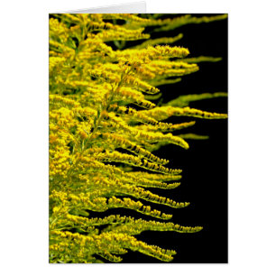 Goldener Golddiamant