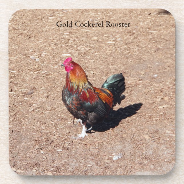 Goldener Hahn-Hahn-Getränkeuntersetzer Getränkeuntersetzer (Vorderseite)