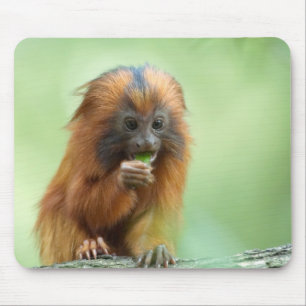 Goldener HauptKnabe Mousepad